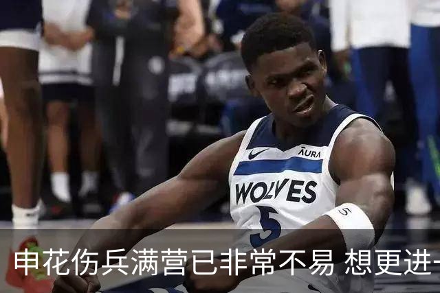 申花伤兵满营已非常不易 想更进一步需提升硬实力